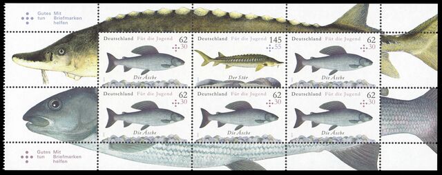 Bund HBlatt 49