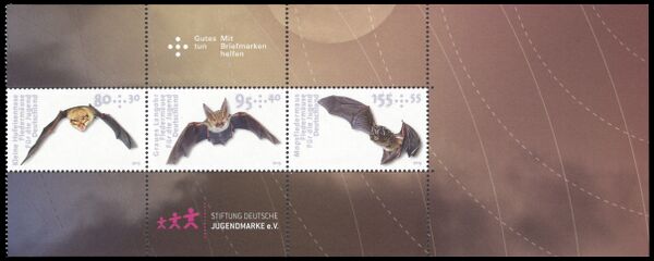 Bund HBlatt 55