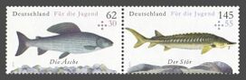 Bund ZD W 125