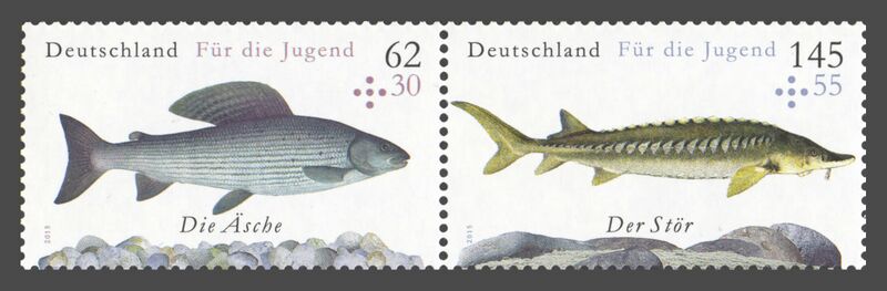 Datei:Bund ZD W 125.jpg