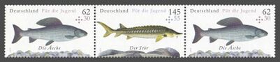 Bund ZD W 126