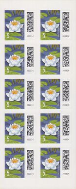 Bund FB 113 I Seite 2