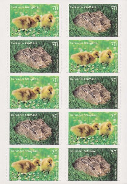 Datei:Bund FB 55 S2.jpg