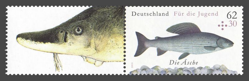 Datei:Bund ZD W 123.jpg