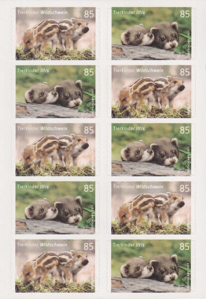 Datei:Bund FB 64 S2.jpg