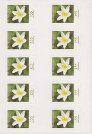 Bund FB 91 a II Seite 2