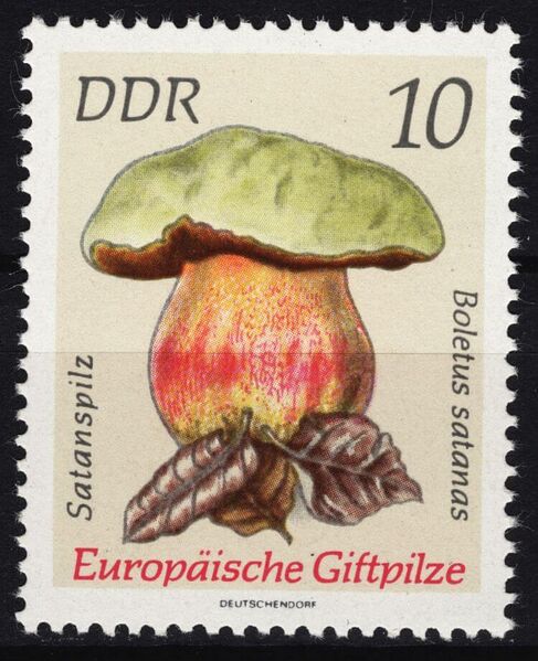 Datei:DDR 1934.jpg