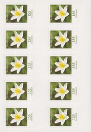 Bund FB 91 b II Seite 2