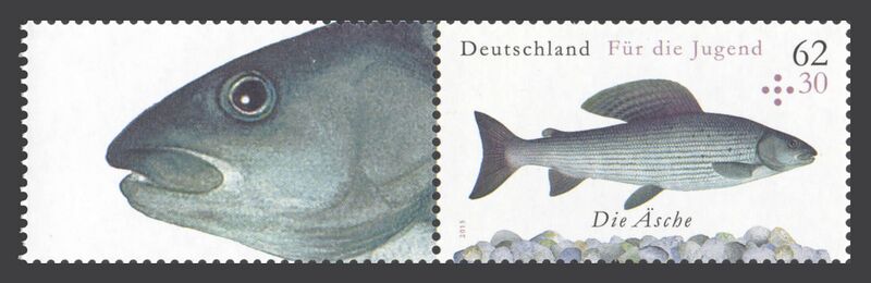 Datei:Bund ZD W 128.jpg