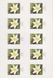 Bund FB 91 b Seite 2