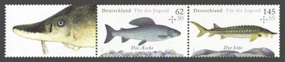 Bund ZD W 124
