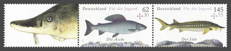 Datei:Bund ZD W 124.jpg