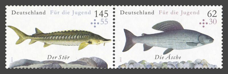 Datei:Bund ZD W 127.jpg