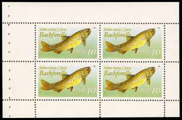 DDR HBlatt 19 v B
