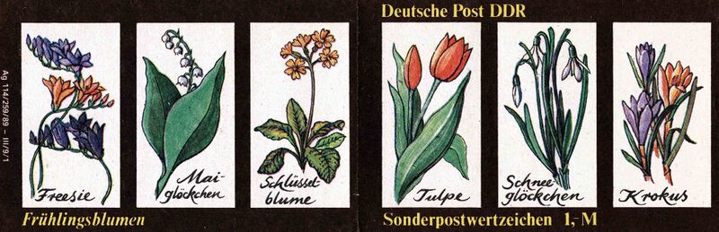 Datei:DDR SMH 44 aussen.jpg