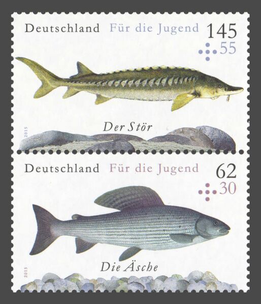 Datei:Bund ZD S 59.jpg